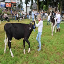 4t9a7999_resultaat-standard.jpg