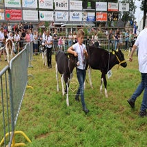 4t9a8000_resultaat-standard.jpg