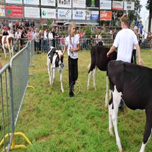 4t9a8001_resultaat-standard.jpg