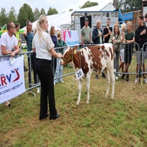 4t9a8003_resultaat-standard.jpg