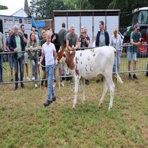 4t9a8005_resultaat-standard.jpg