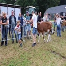 4t9a8007_resultaat-standard.jpg