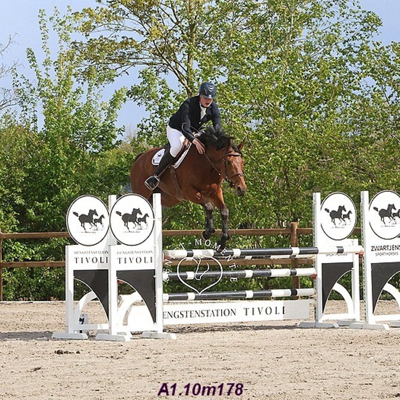 4t9a8008_resultaat-bordermaker-standard.jpg