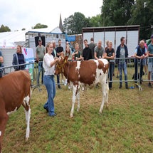 4t9a8009_resultaat-standard.jpg