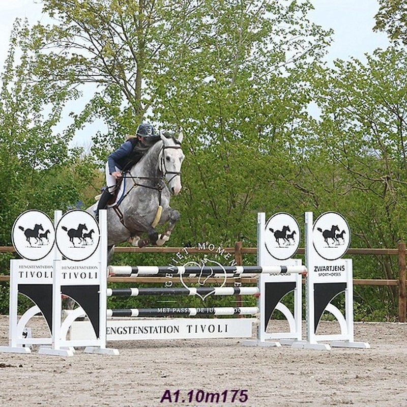 4t9a8012_resultaat-bordermaker-standard.jpg