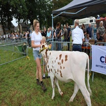 4t9a8012_resultaat-standard.jpg