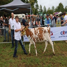4t9a8013_resultaat-standard.jpg