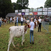 4t9a8014_resultaat-standard.jpg