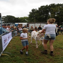 4t9a8018_resultaat-standard.jpg