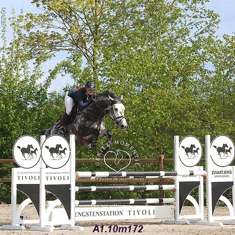 4t9a8019_resultaat-bordermaker-standard.jpg