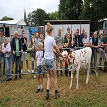 4t9a8028_resultaat-standard.jpg