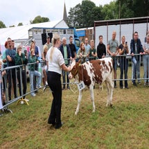 4t9a8030_resultaat-standard.jpg