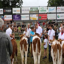 4t9a8031_resultaat-standard.jpg