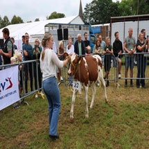 4t9a8033_resultaat-standard.jpg