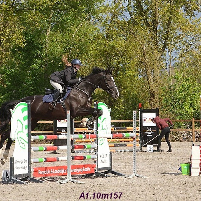 4t9a8036_resultaat-bordermaker-standard.jpg