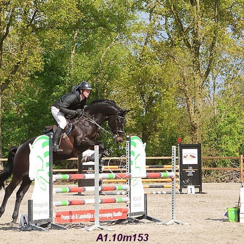4t9a8044_resultaat-bordermaker-standard.jpg