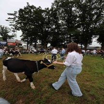 4t9a8047_resultaat-standard.jpg