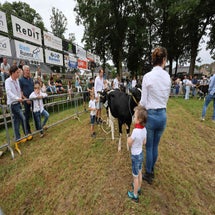 4t9a8048_resultaat-standard.jpg