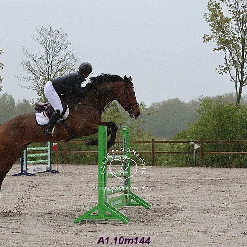 4t9a8055_resultaat-bordermaker-standard.jpg