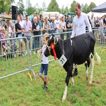 4t9a8064_resultaat-standard.jpg