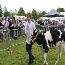 4t9a8065_resultaat-standard-xh4iyn.jpg