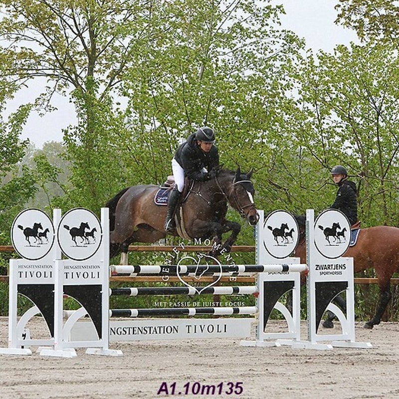 4t9a8067_resultaat-bordermaker-standard.jpg