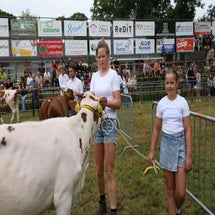 4t9a8067_resultaat-standard.jpg