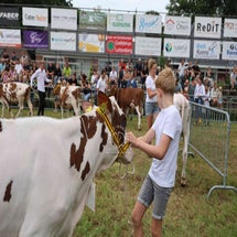 4t9a8068_resultaat-standard.jpg