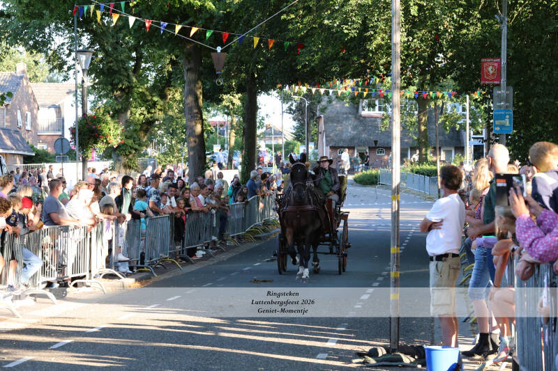 4t9a8068_resultaat-standard-93bxoj.jpg