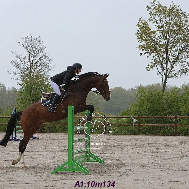4t9a8070_resultaat-bordermaker-standard.jpg