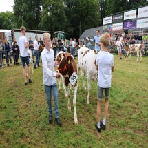 4t9a8076_resultaat-standard.jpg