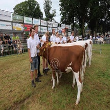 4t9a8078_resultaat-standard.jpg