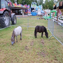 4t9a8081_resultaat-standard.jpg