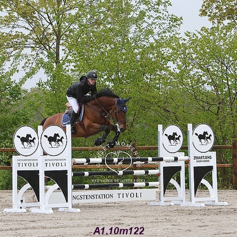 4t9a8086_resultaat-bordermaker-standard.jpg