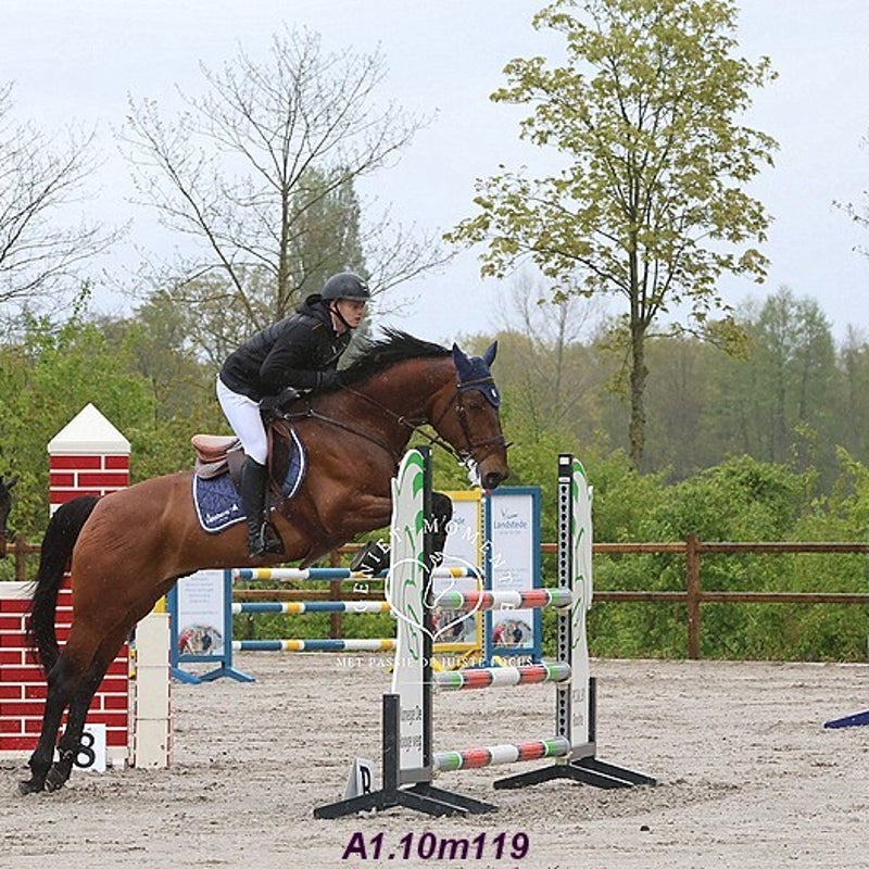 4t9a8090_resultaat-bordermaker-standard.jpg