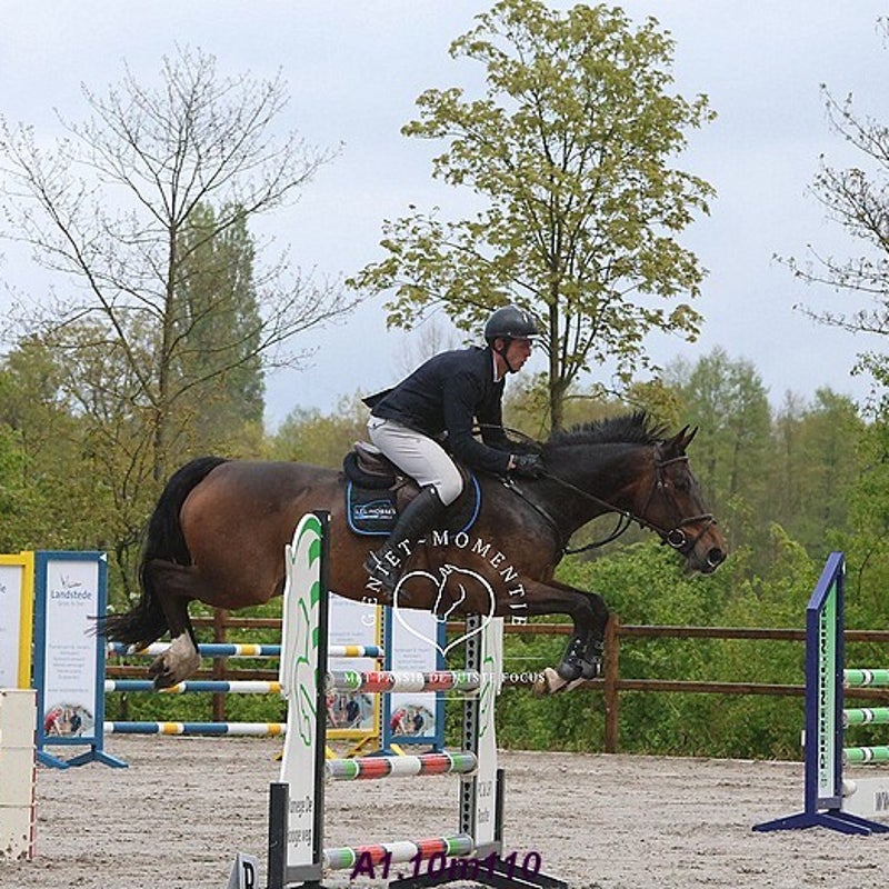 4t9a8099_resultaat-bordermaker-standard.jpg