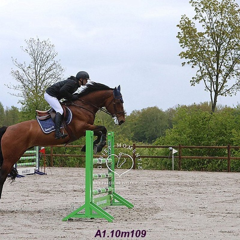 4t9a8100_resultaat-bordermaker-standard.jpg