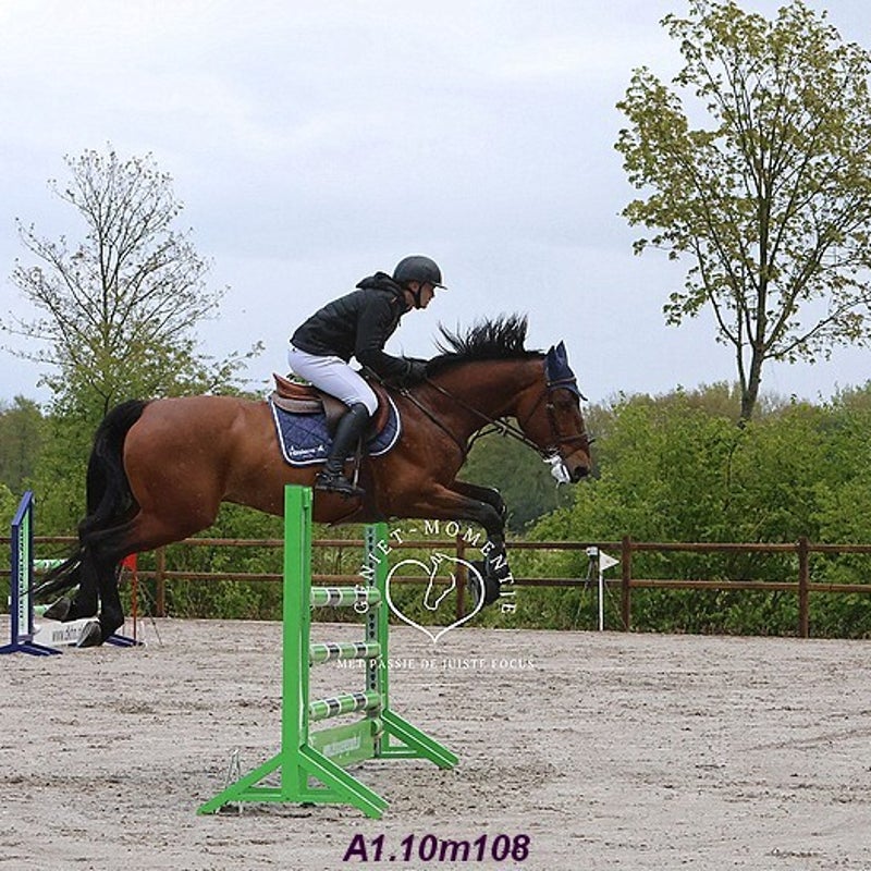 4t9a8101_resultaat-bordermaker-standard.jpg