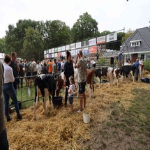 4t9a8103_resultaat-standard.jpg