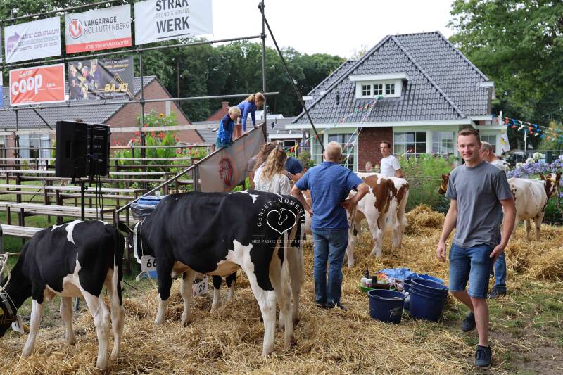 4t9a8104_resultaat-standard.jpg