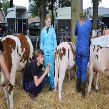 4t9a8105_resultaat-standard.jpg