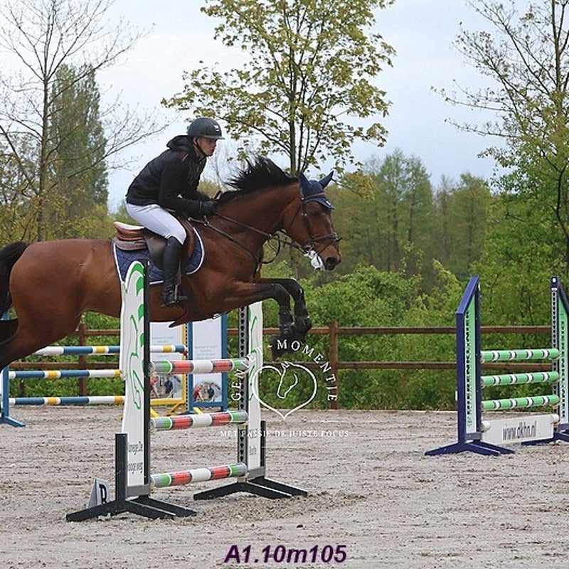 4t9a8106_resultaat-bordermaker-standard.jpg