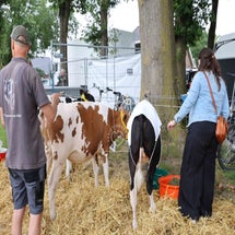 4t9a8106_resultaat-standard.jpg