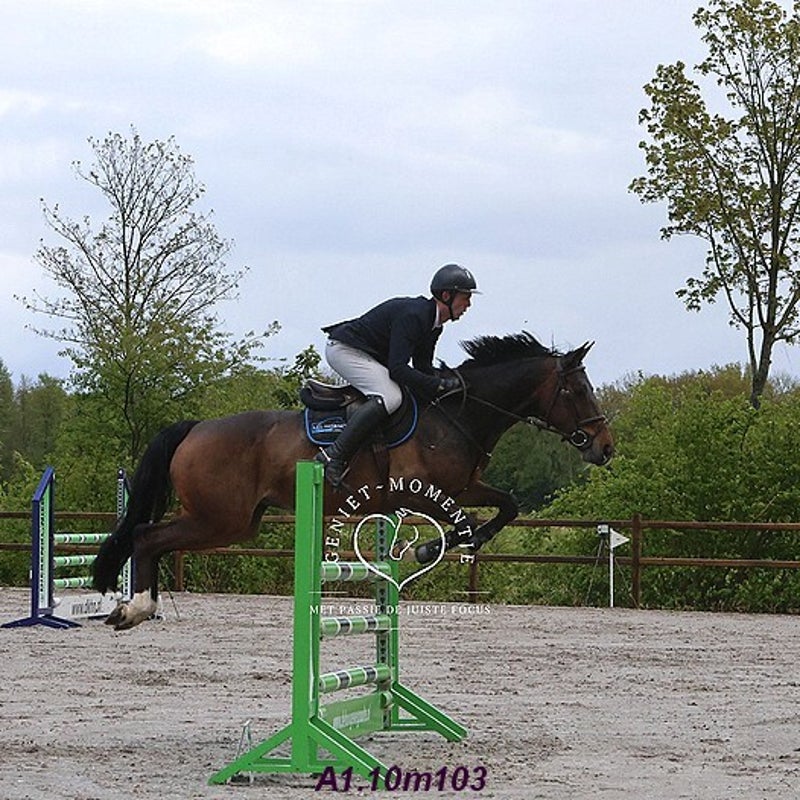 4t9a8109_resultaat-bordermaker-standard.jpg