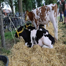 4t9a8110_resultaat-standard.jpg
