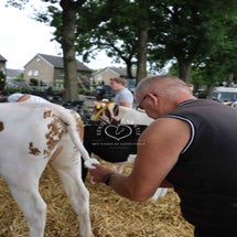 4t9a8112_resultaat-standard.jpg