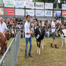 4t9a8113_resultaat-standard.jpg