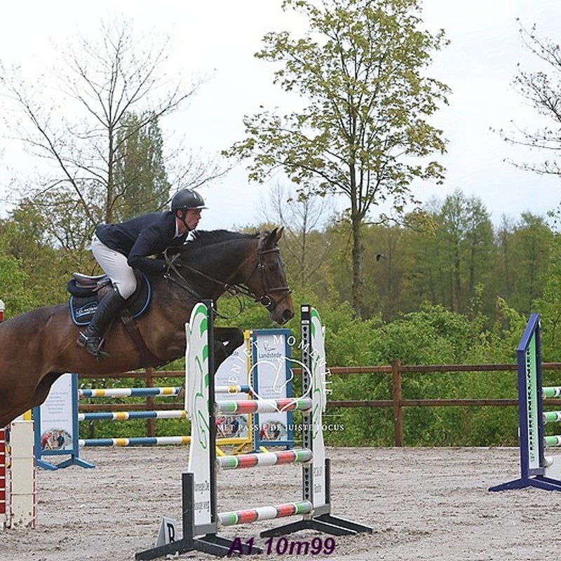 4t9a8114_resultaat-bordermaker-standard.jpg