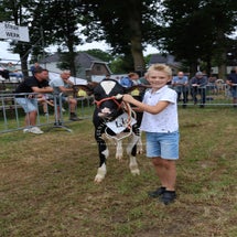 4t9a8114_resultaat-standard.jpg
