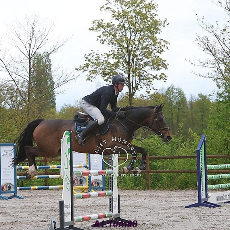 4t9a8115_resultaat-bordermaker-standard.jpg